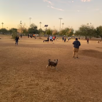 Dog Park at Steele Indian School Park photo 1